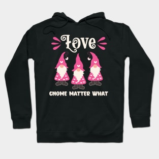 Love Gnome Matter What Valentine Gnomes Hoodie